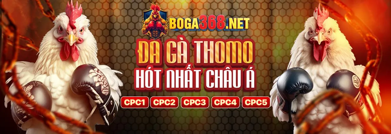 Đá Gà Trực Tuyến VIPWIN777 Khuyến Mãi Đỉnh Cao