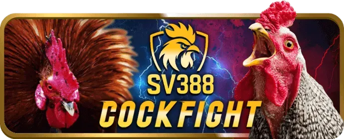 Hoàn Trả Slots